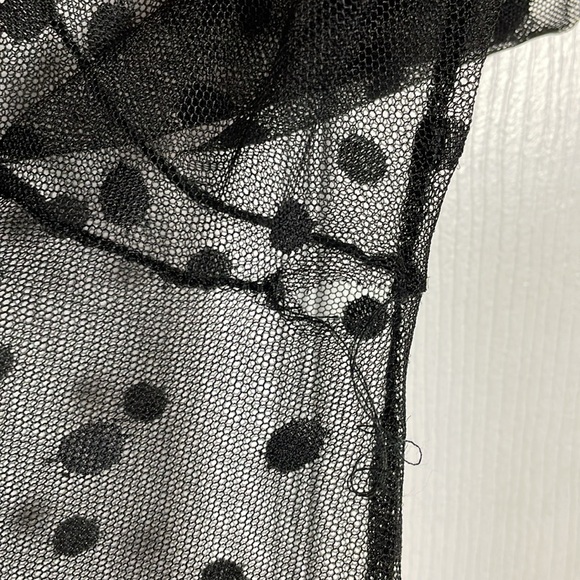Sheer Mesh Polka Dot Long Sleeve top with Lettuce Trim - Picture 3 of 3